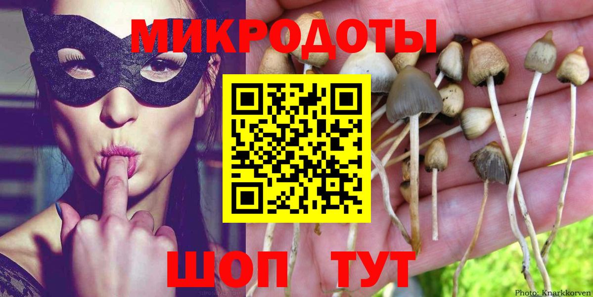 Псилоцибиновые грибы Psilocybine cubensis  Вход с VPN  Лесной 