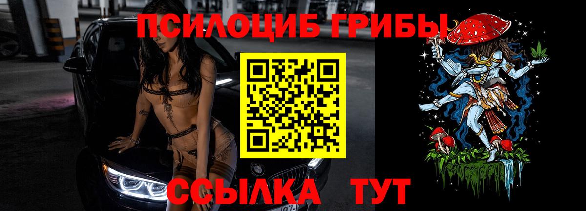 Псилоцибиновые грибы Psilocybe Лесной