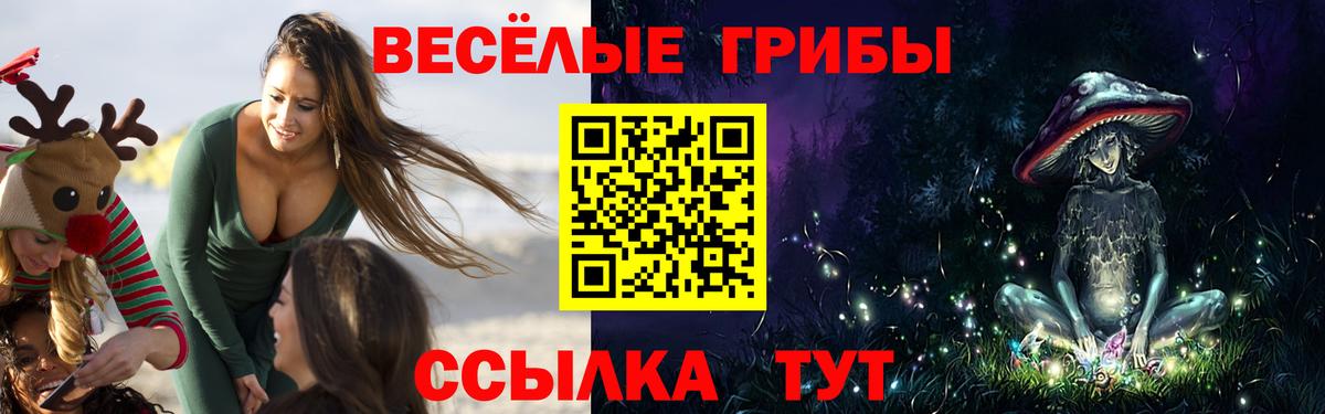 Псилоцибиновые грибы Cubensis  Лесной 