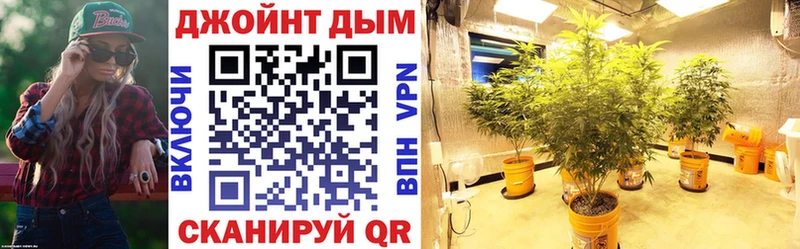 где найти hydra зеркало Канабис OG Kush Лесной