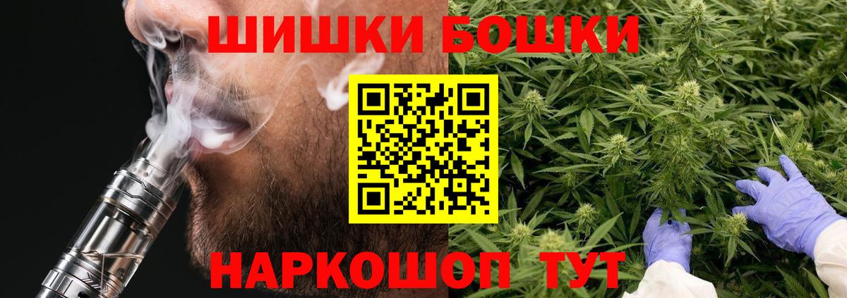 Бошки Шишки гибрид  Бошки марихуана план  Лесной  Канабис планчик  Вход с VPN 